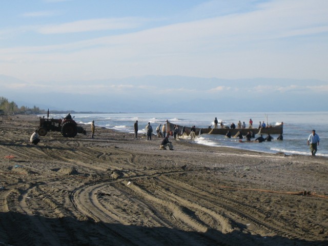Shore fishing in Iran